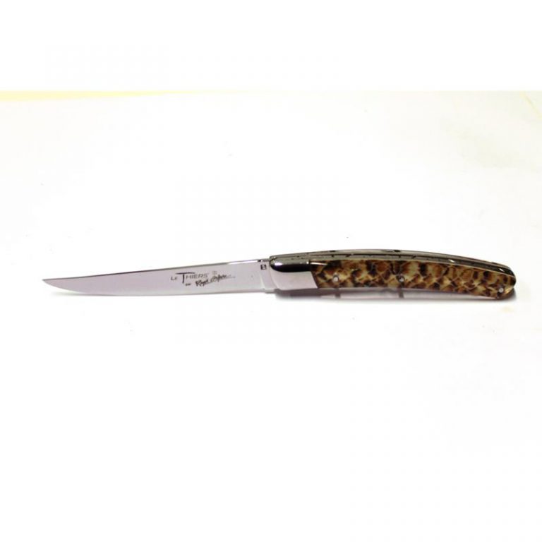 Steak Knife 