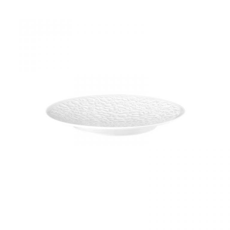 Flat Plate